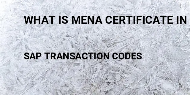 What is mena certificate in vendor master Tcode in SAP