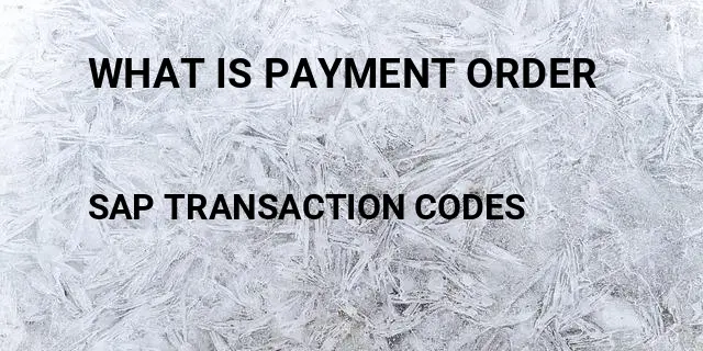 What is payment order Tcode in SAP