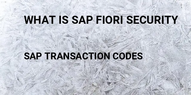 What is sap fiori security Tcode in SAP