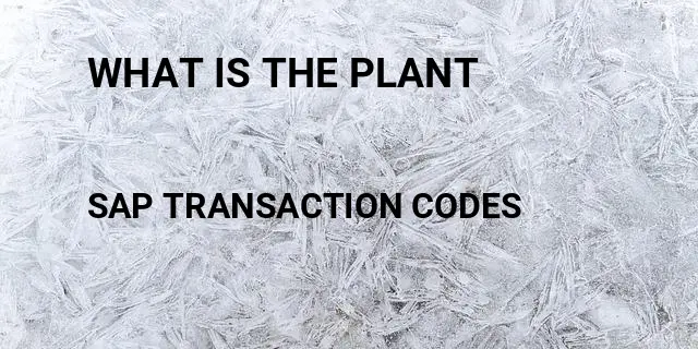 What is the plant Tcode in SAP