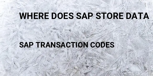 Where does sap store data Tcode in SAP