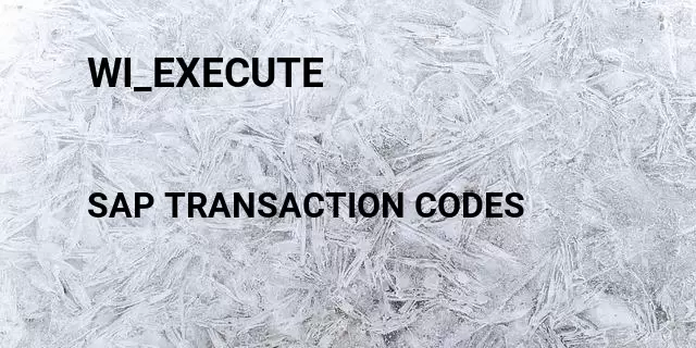 Wi_execute Tcode in SAP