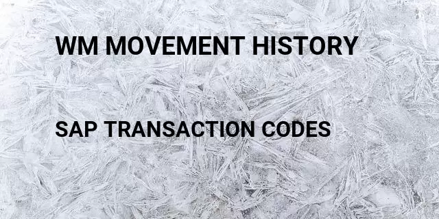 Wm movement history Tcode in SAP