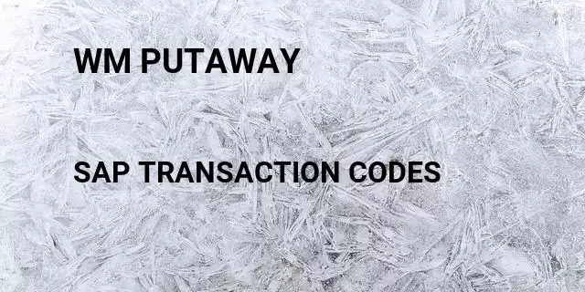 Wm putaway Tcode in SAP