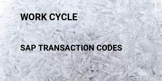 Work cycle Tcode in SAP