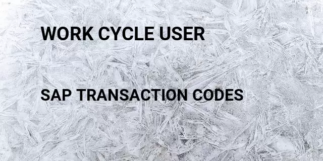 Work cycle user Tcode in SAP