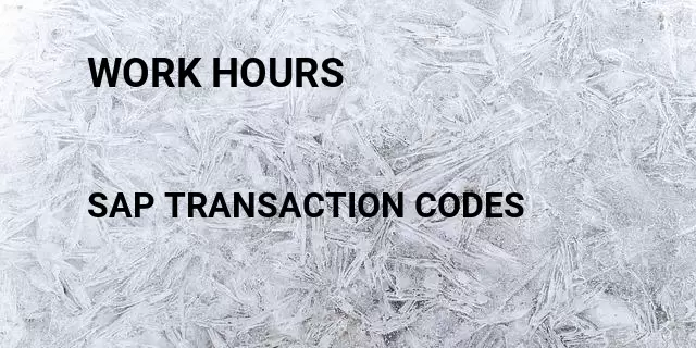 Work hours Tcode in SAP