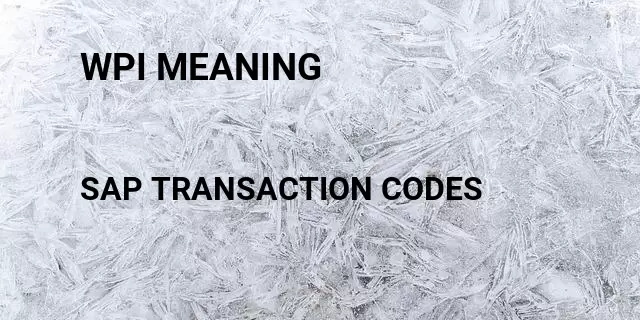 Wpi meaning Tcode in SAP