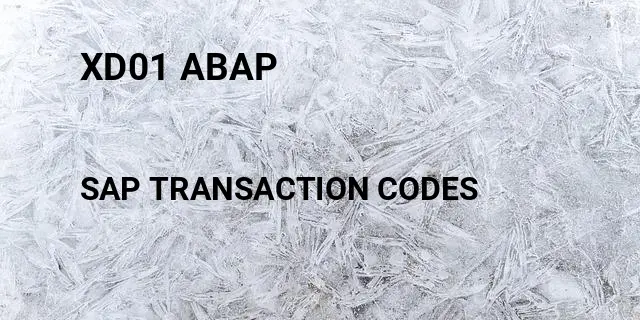 Xd01 abap Tcode in SAP