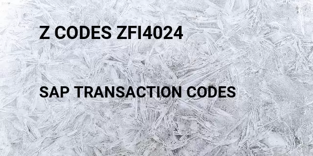 Z codes zfi4024 Tcode in SAP