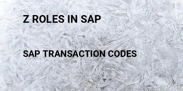 Z roles in sap Tcode in SAP