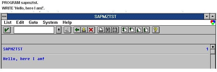 write message in sap abap